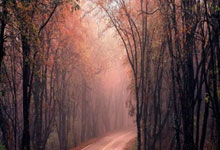 三角洲行动琉璃透视自瞄辅助 