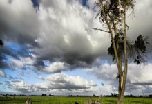 三角洲行动琉璃透视自瞄辅助