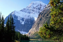 三角洲行动琉璃透视自瞄辅助 